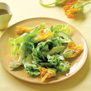 Squash Blossom Bounty